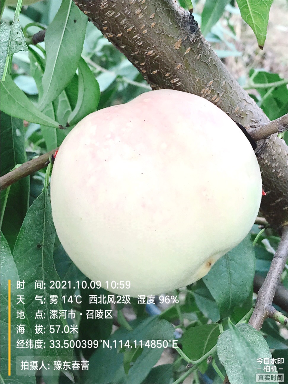 ҵ2021ջ7201 :gg 