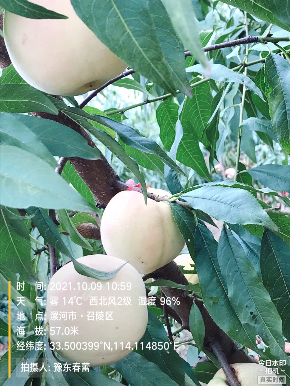 ҵ2021ջ9830 :gg 