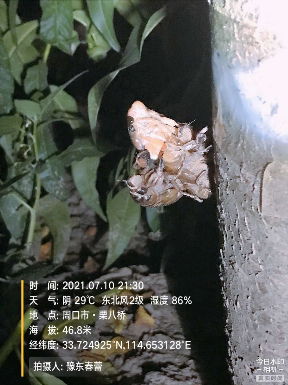 ҵ2021ջ1412 :gg 