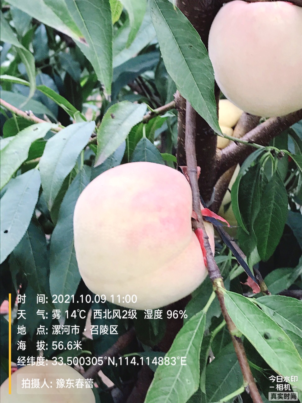 ҵ2021ջ8188 :gg 