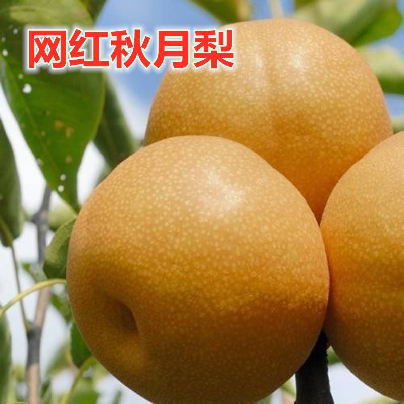 ䷶ҹʦ9235 :ҵĳŵֻ 