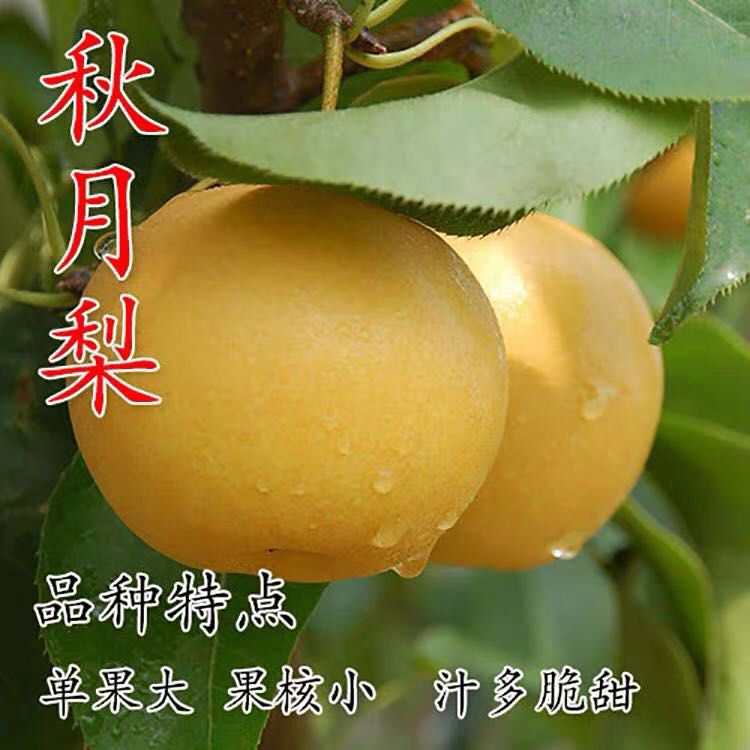䷶ҹʦ5656 :ҵĳŵֻ 