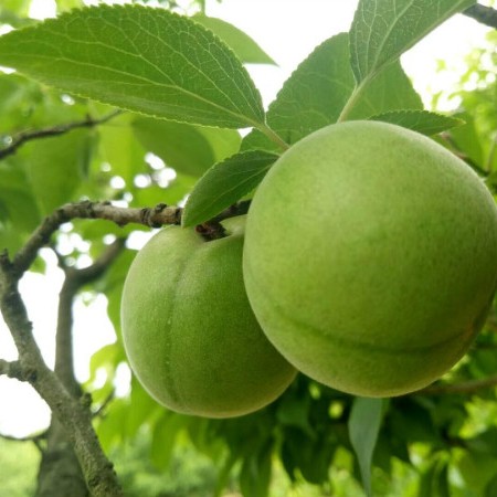 㽭糡һҹ÷޽4010 :123457021 