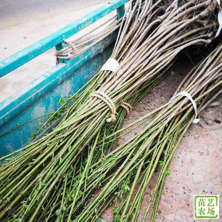 㽭糡һҹ÷޽8678 :123457021 