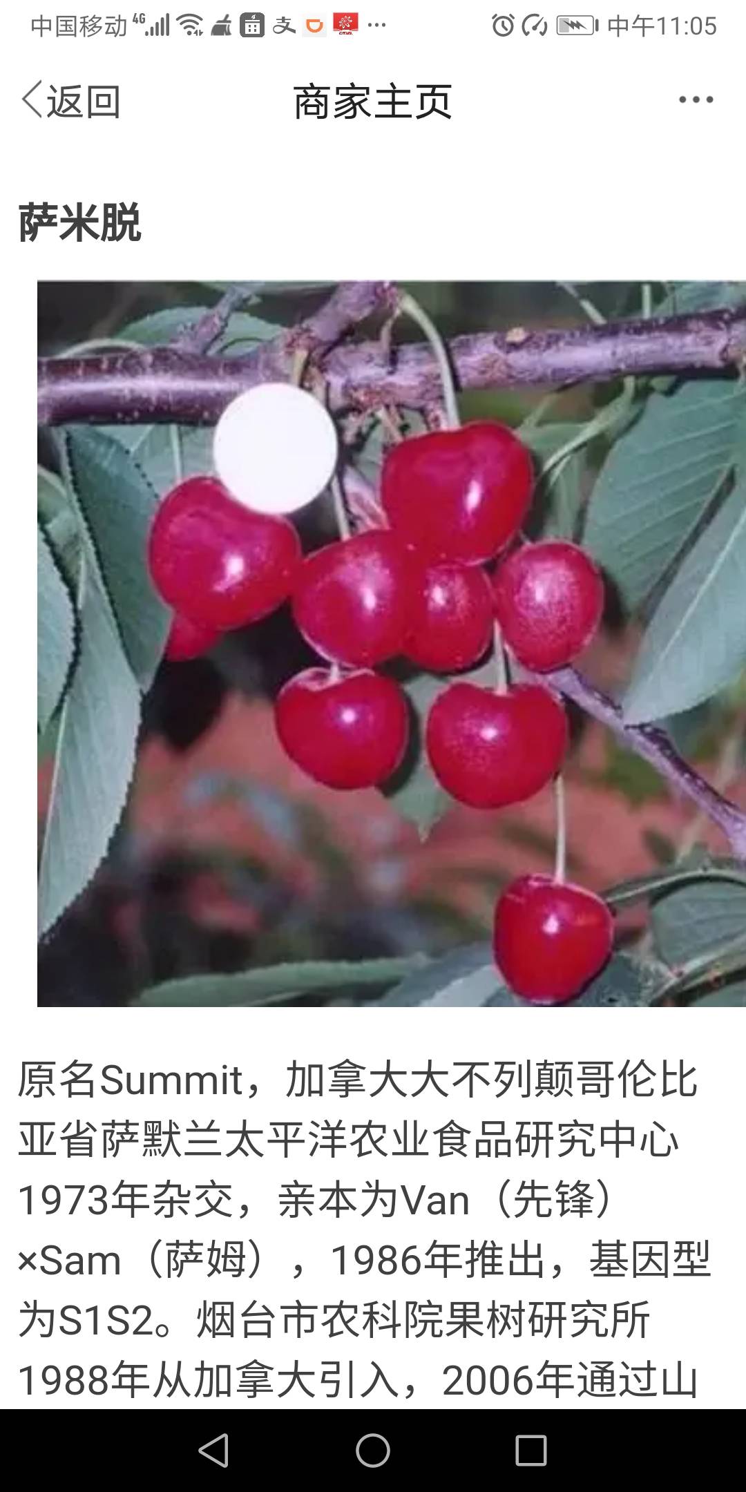 ԪŰľҹؼ34 :Ǿն 