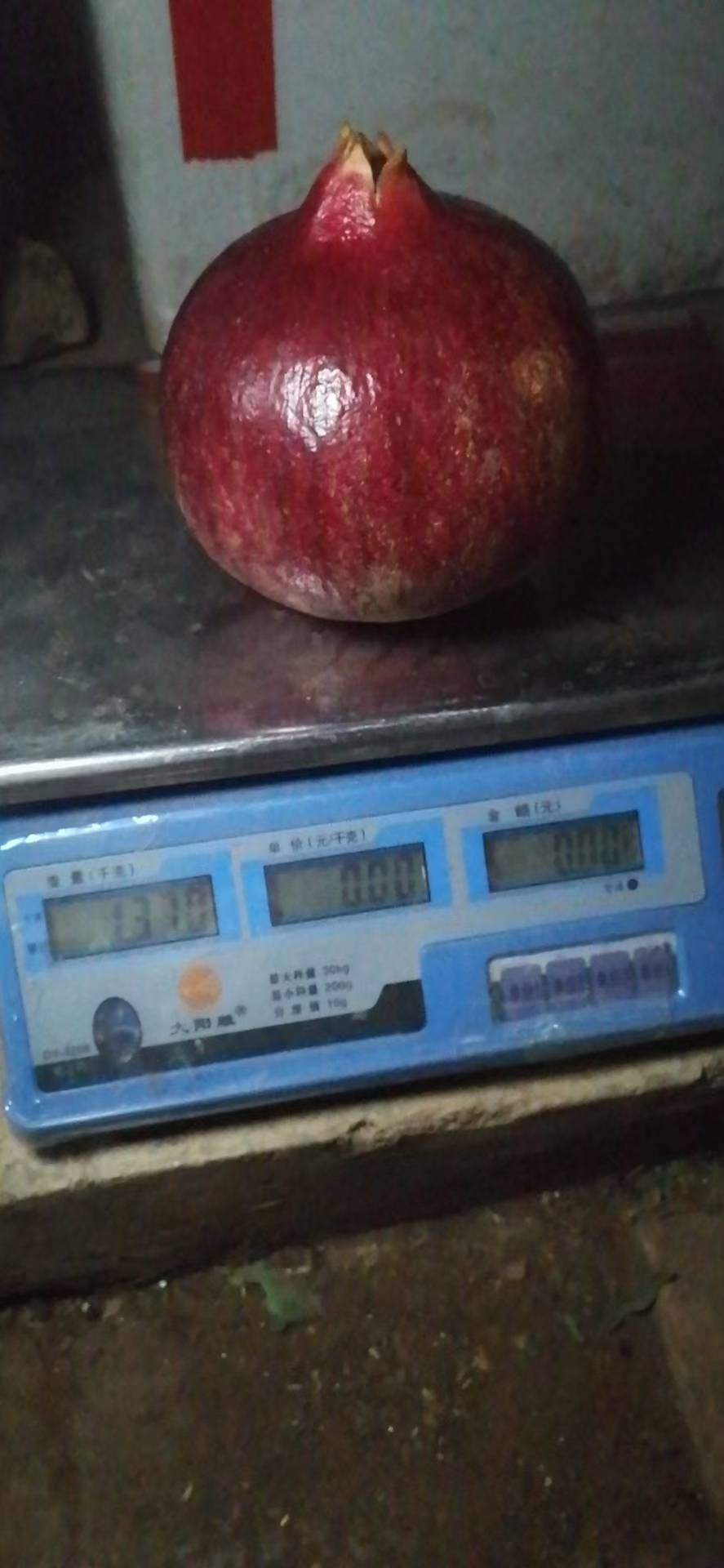 2021-ҵʯֲ֮·2709 :ewaluri 