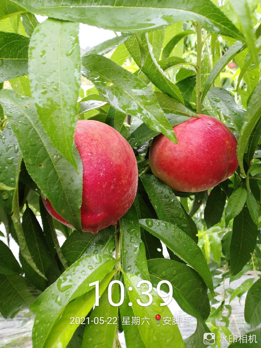 ҵ2021   С׵֮·2.9073 : 