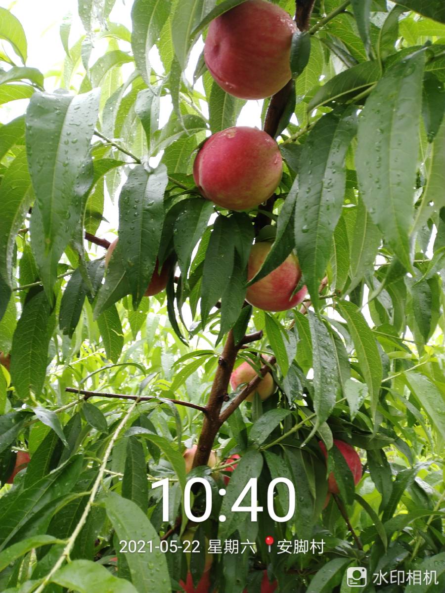 ҵ2021   С׵֮·2.9817 : 