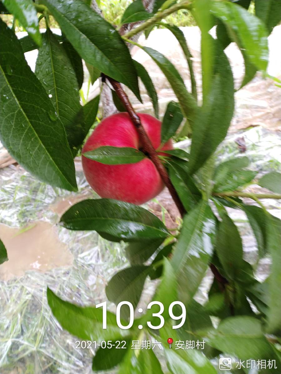 ҵ2021   С׵֮·2.872 : 