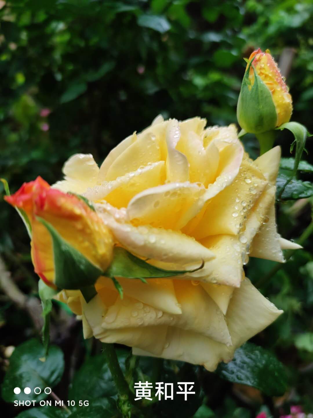 ҵ2021ܽ6926 :û밮ǵ 