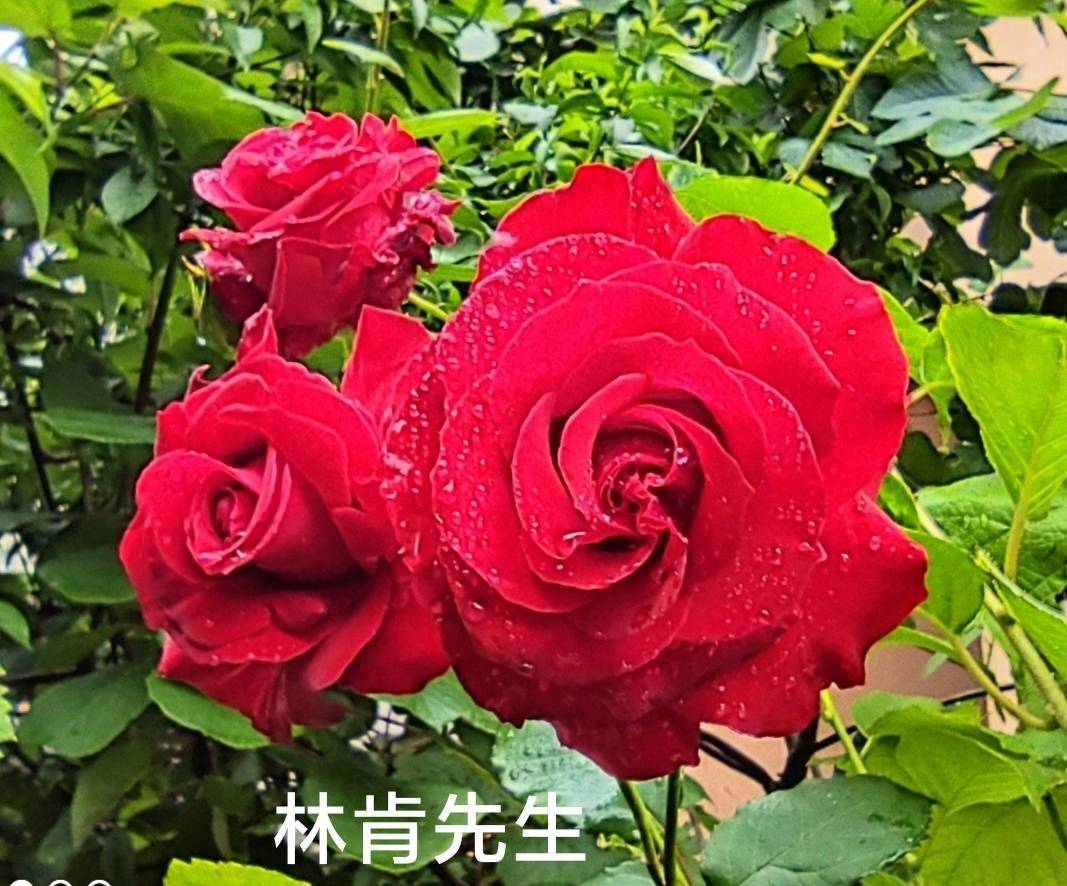 ҵ2021ܽ8359 :û밮ǵ 