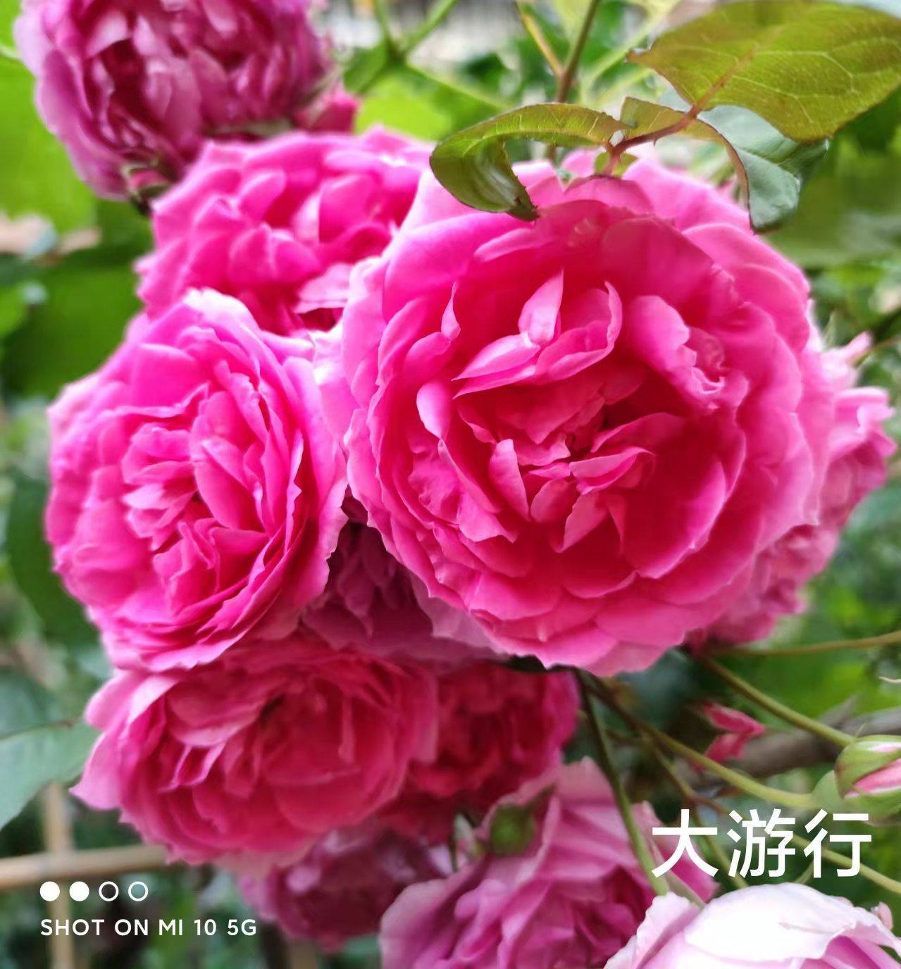 ҵ2021ܽ5659 :û밮ǵ 