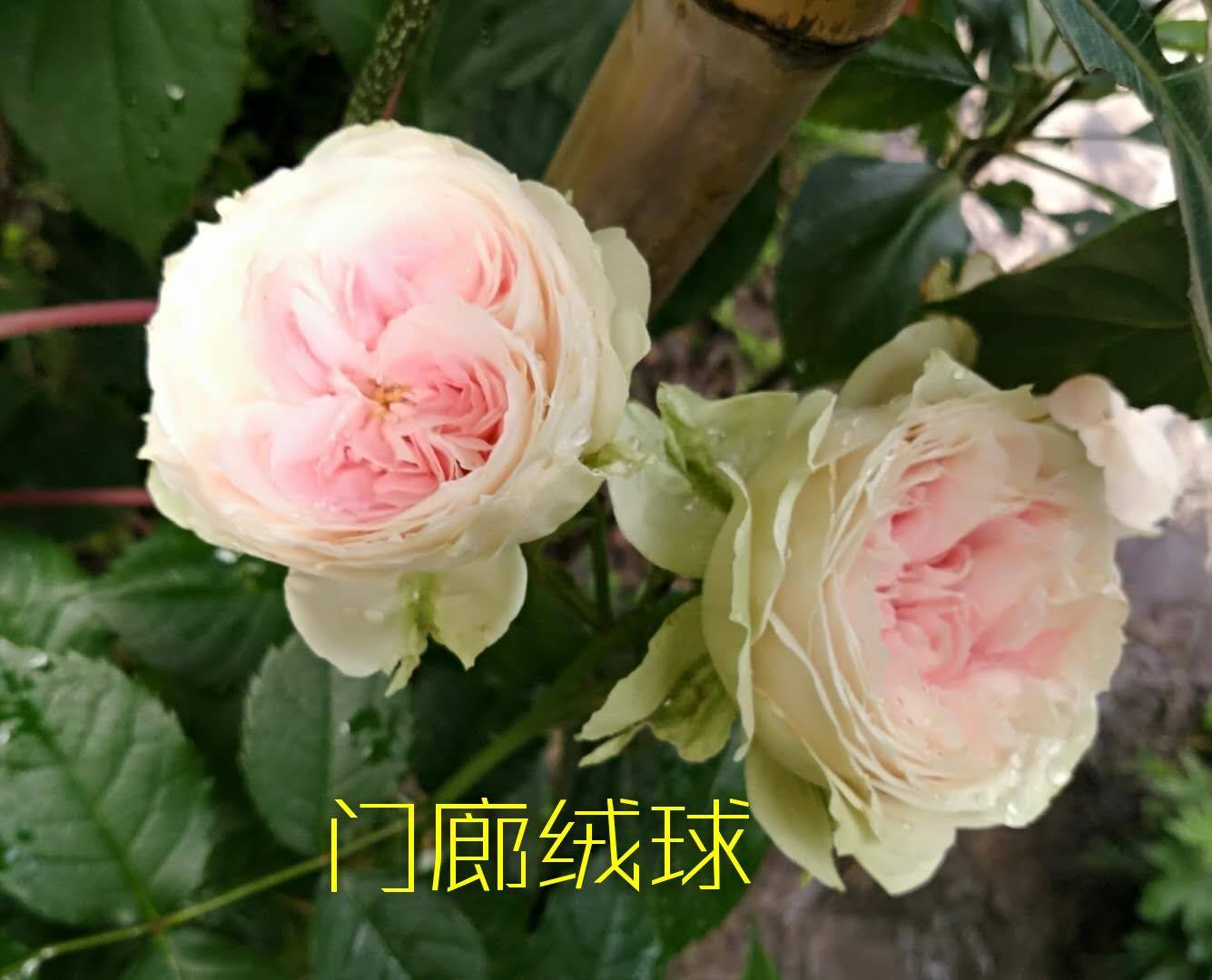ҵ2021ܽ5959 :û밮ǵ 