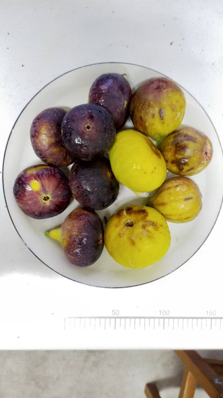 ڡҵ20217656 :726 