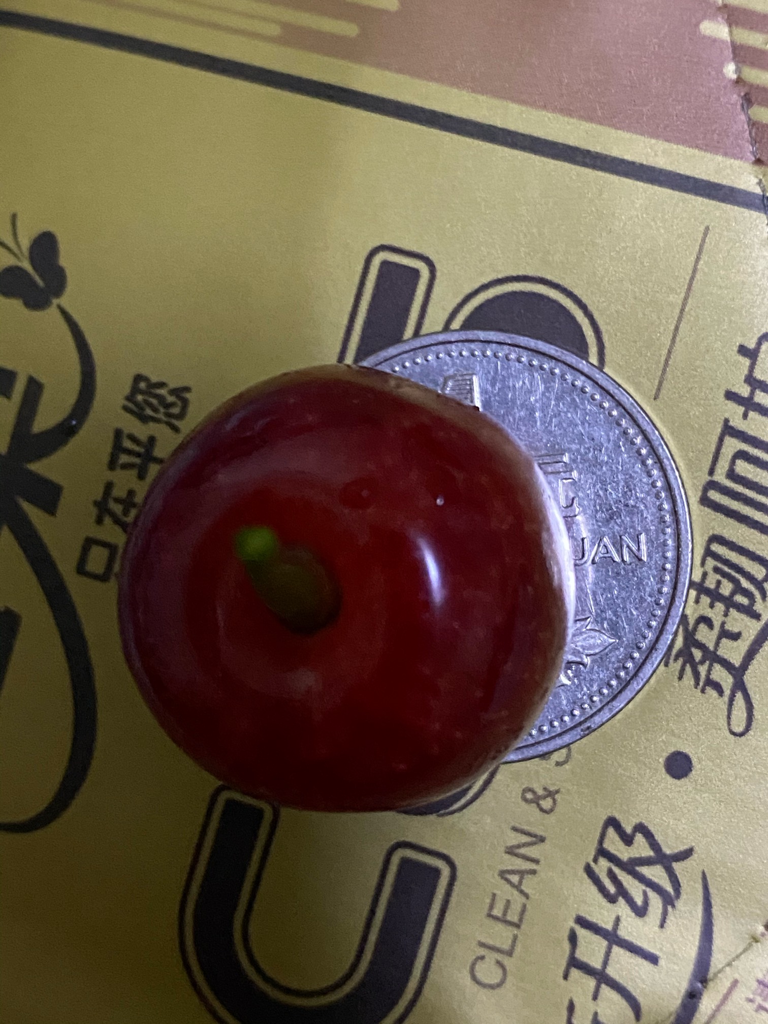 гҪкҹ֦˳ᵽ8955 :ӹŮ 