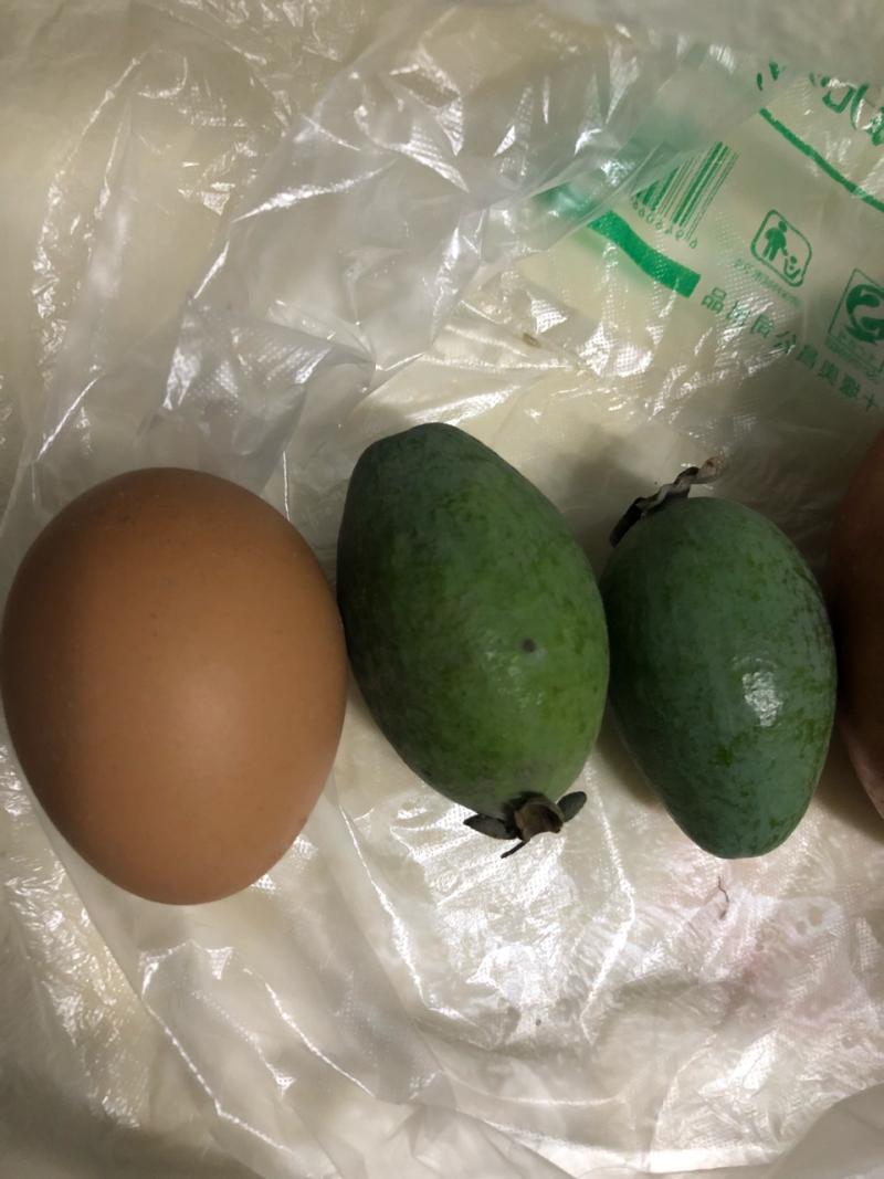 大家来探讨下菲油果口味问题