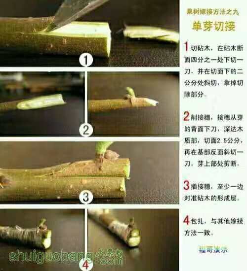 晟意雕刻在#每日一贴#里发布了一条状态,快来围观