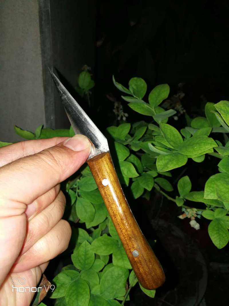 拍卖一把嫁接刀
