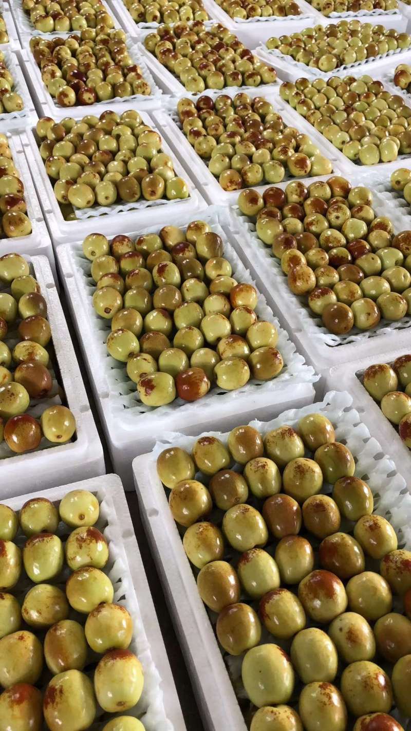 大蜂蜜罐枣果图