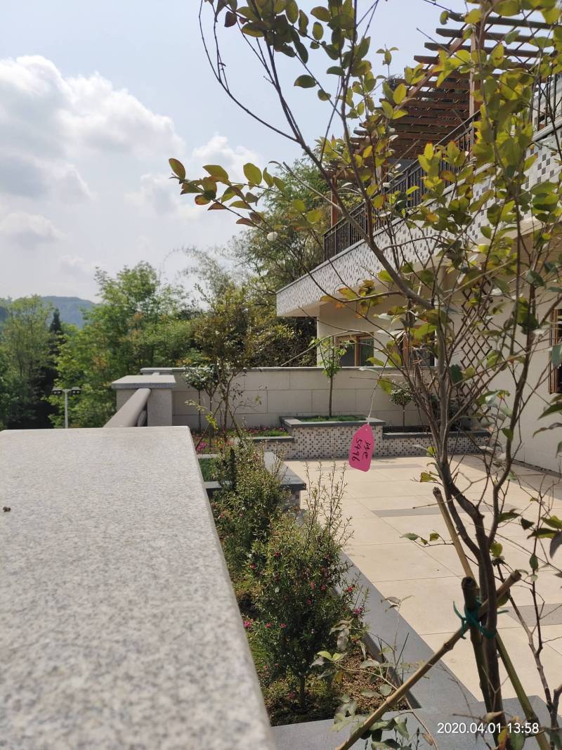 屋顶花池建造过程