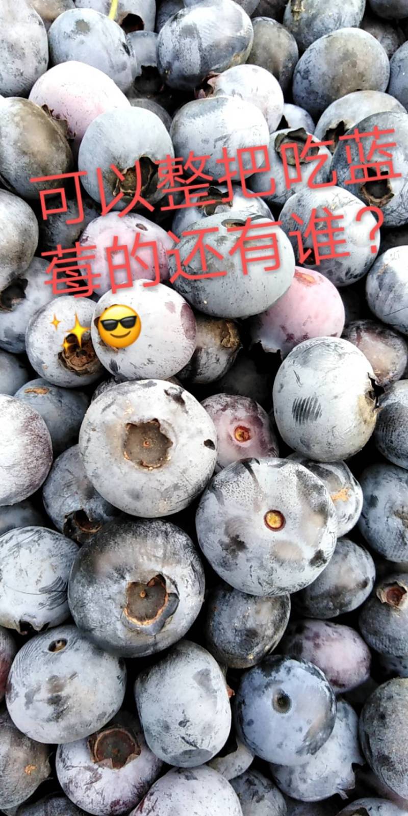 自我调节,自行了断,一路走好