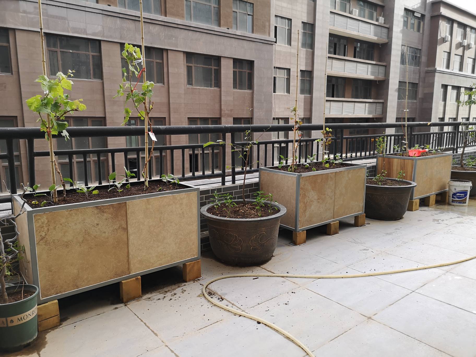【果乔花园】露台升级改造更新中……瓷砖种植箱基质填装完成!