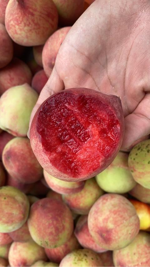 现在有春雨和中华血桃,中桃24吗,想买点尝尝什么味道