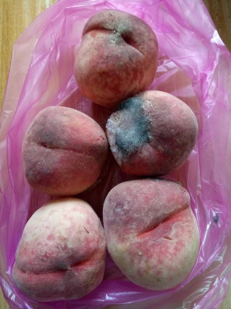 桃子放到长毛 - 桃树论坛 - 水果邦农人之家论坛