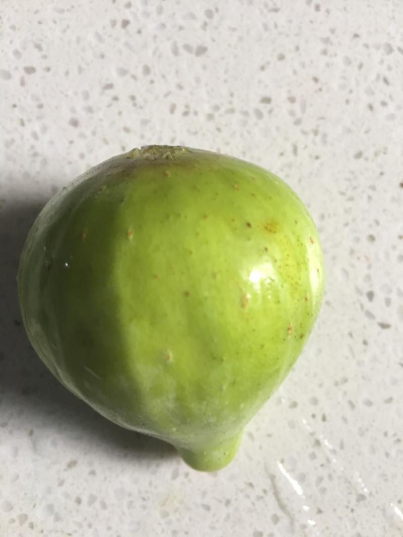 路易斯.杰克 - 无花果论坛 - 水果邦农人之家论坛