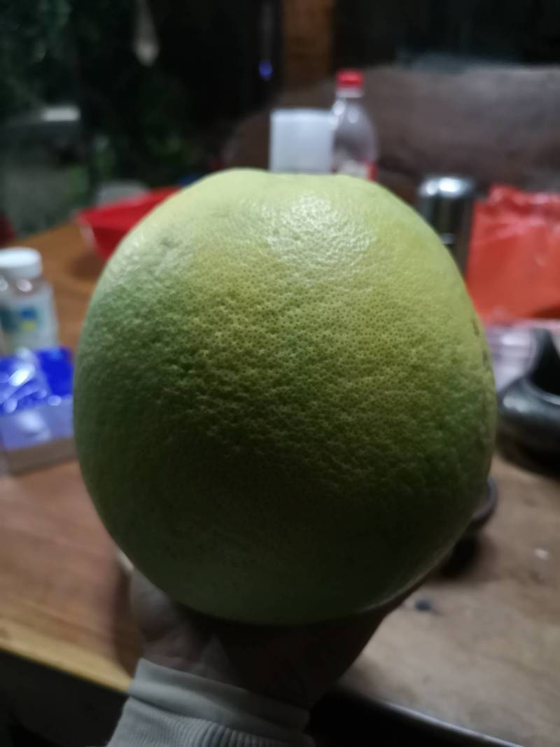 2020年11月5日翡翠青柚试吃