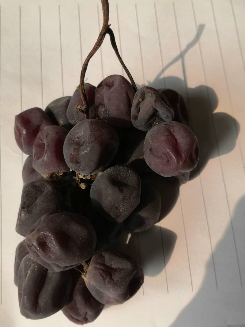 自然存放的三泽系红伊豆芽变二次果 - 葡萄论坛 - 水果邦农人之家