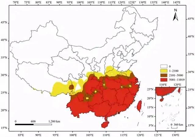 警惕紅火蟻已入侵至12個省農業生產面臨嚴重威脅