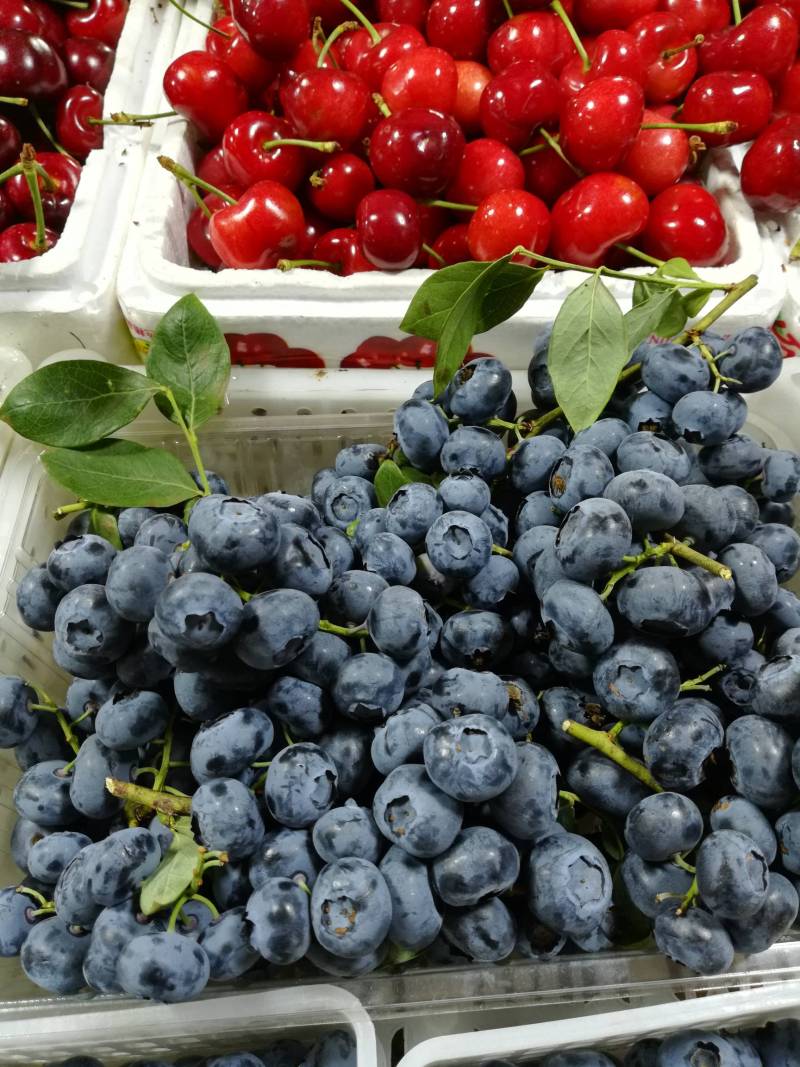 带枝蓝莓串奥尼尔60一斤