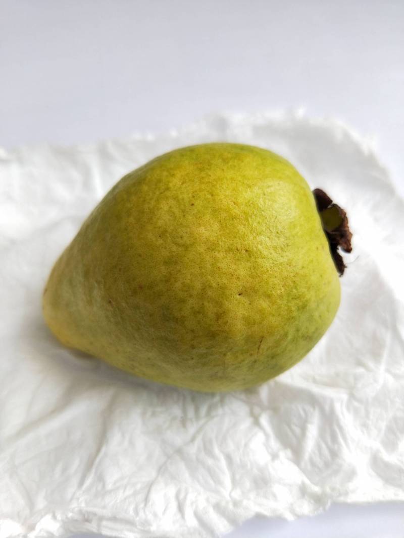 四季红第一个熟果