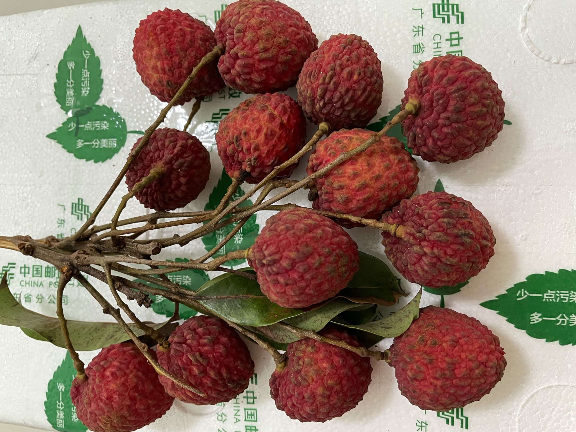 品尝仙进奉荔枝挂绿荔枝桂味荔枝